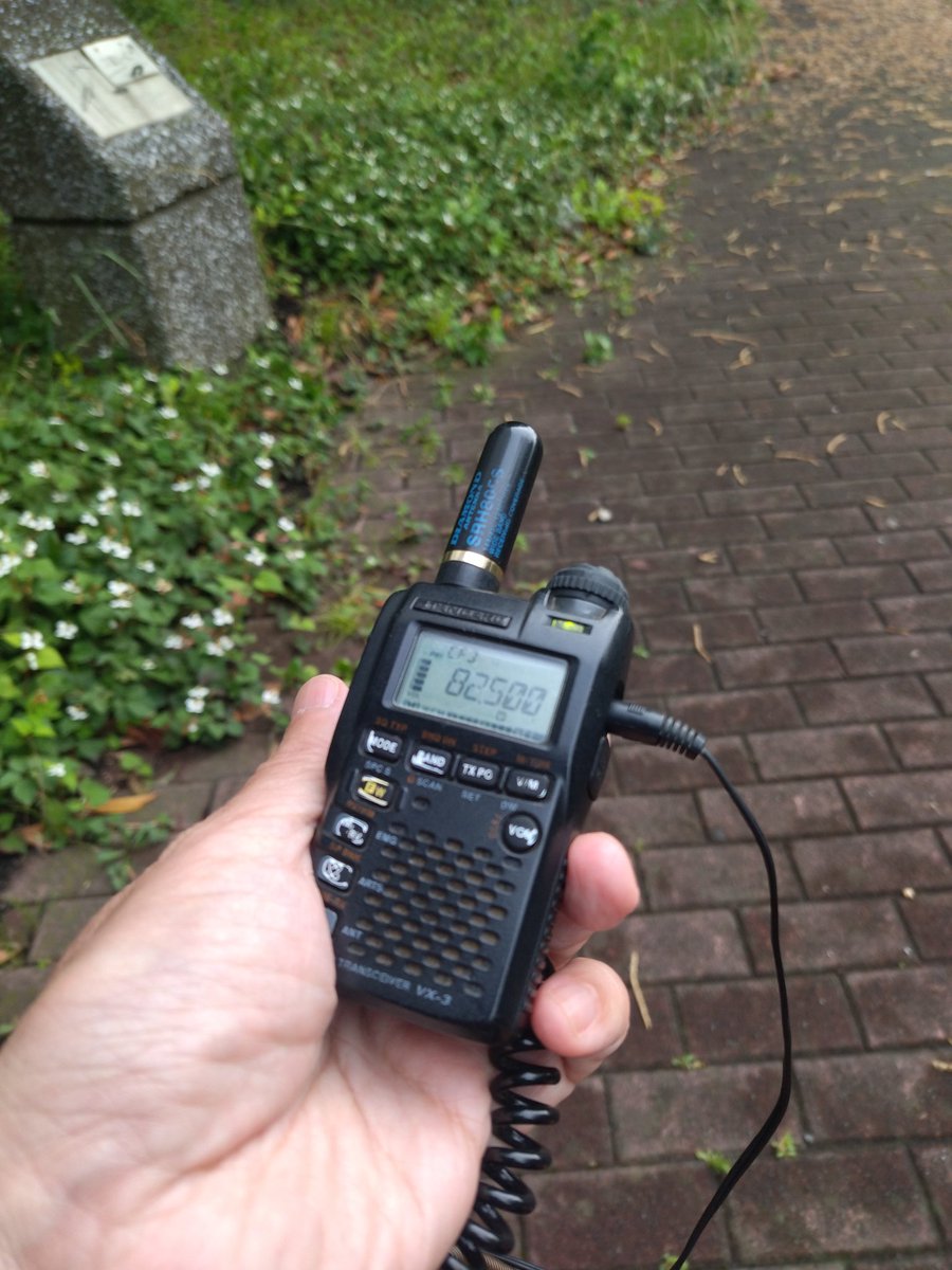 JH1EAF's tweet photo. 昨晩、VX-3のアンテナがないことに気付く。鞄、ポケットの中等、目星がつく場所を探すが出てこない。残る可能性は3日前に移動運用した公園。
台風の中、移動場所に戻ってベンチ脇草むらを探ると発見。時間と電車賃浪費したが重宝していたアンテナだったので良しとする。 https://t.co/9qIcdBes8F