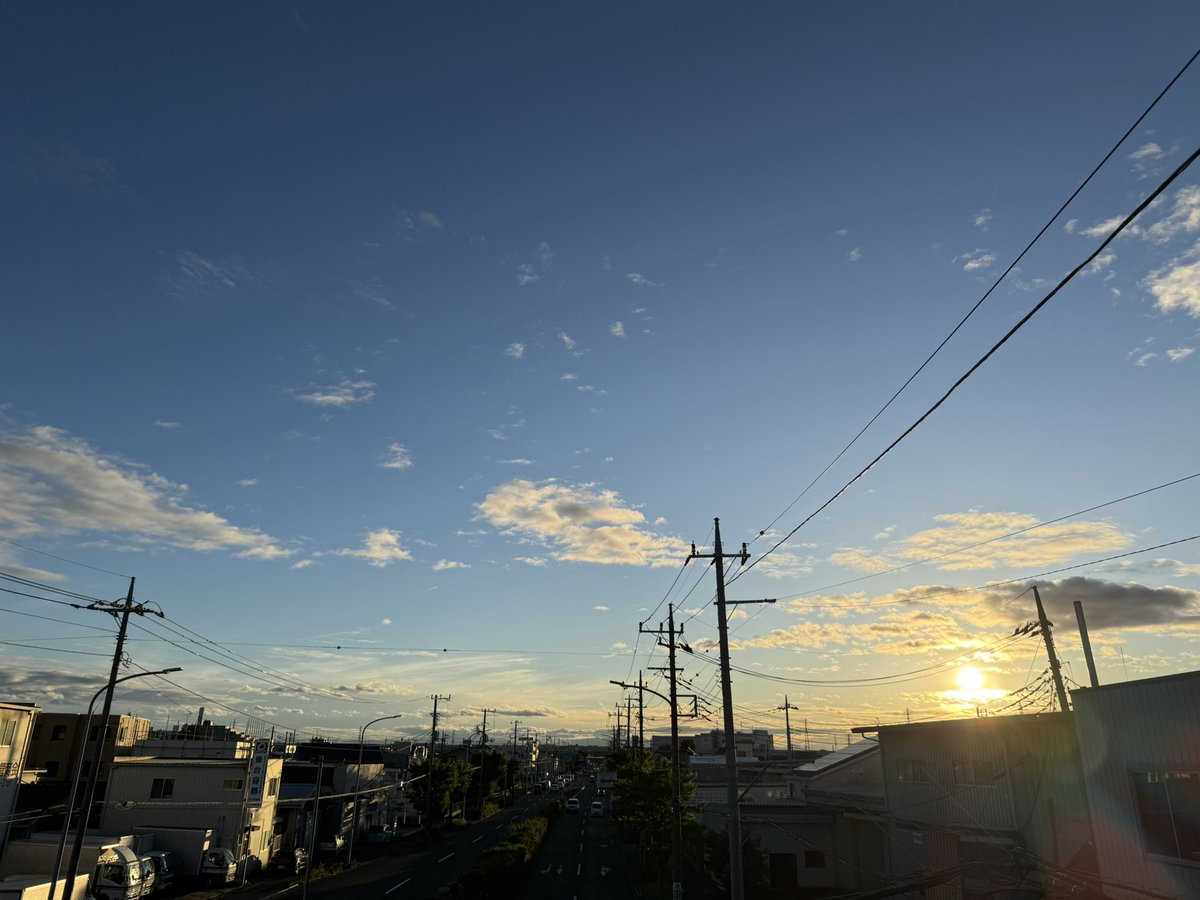 sakerugumin's tweet photo. しごおわ！

晴れた〜☀️
歩くぞ✨ https://t.co/4jrHwAGwVn