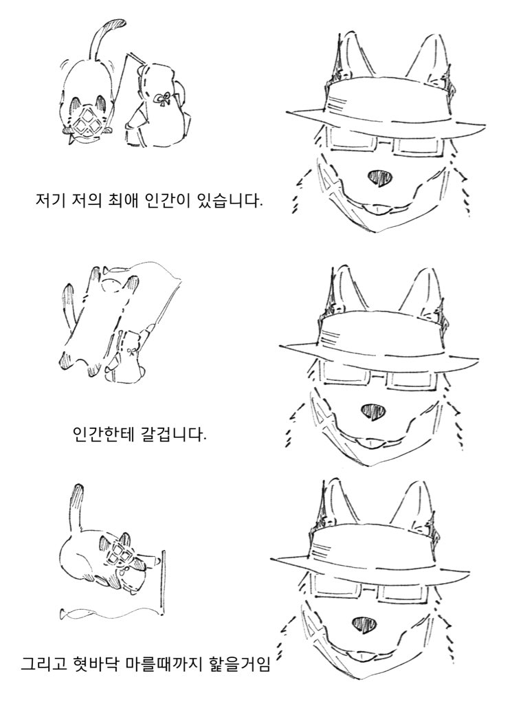 Sea_hare_ii's tweet photo. 복슬복슬 https://t.co/GkCVCQxrz9
