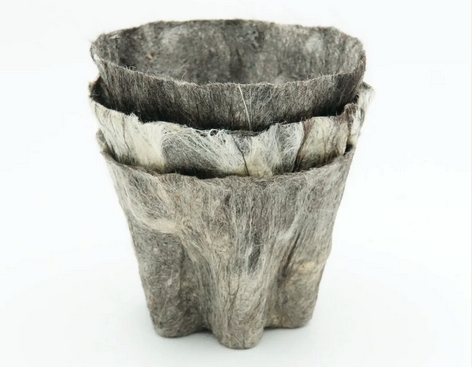 johnthackara's tweet photo. Woolly, from Bioregion Institute in Norway, is a biodegradable plant pot crafted from wild sheeps wool and seaweed. "Woolly is in constant change, like nature itself: it carries life, supports growth and returns seamlessly to the earth".  https://t.co/nqal5CRYHk https://t.co/cELuuGPIfu