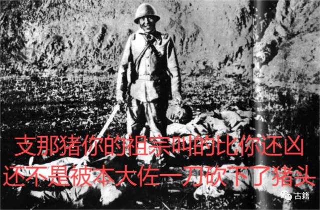 Zhina tweet media