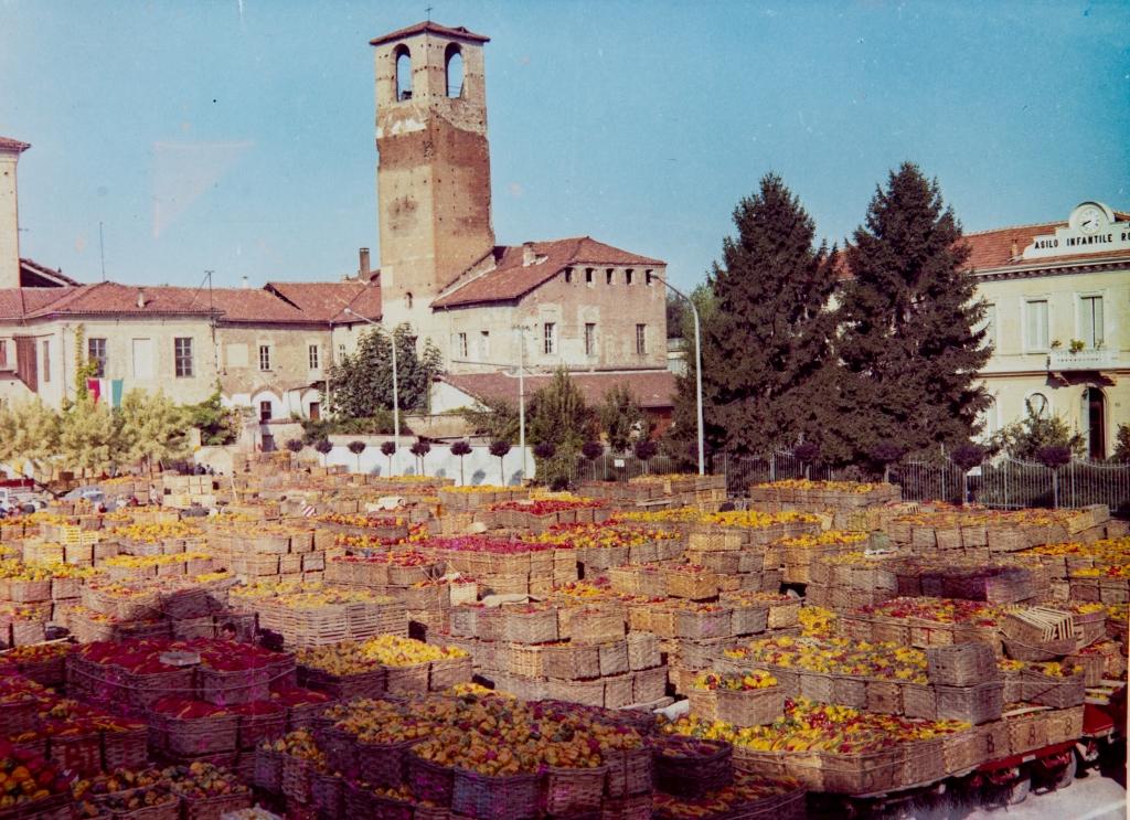 CAAFCGIL1's tweet photo. Oggi siamo a Carmagnola, città medievale di storia e condottieri, nota per i suoi peperoni.

Trovi gli uffici Caaf Cgil di Carmagnola in via Avvocato Lorenzo Cavalli. Per appuntamenti: 0117919 oppure https://t.co/FlYs5oMQ9G.

#CaafCGIL #modello730 #dichiarazionedeiredditi https://t.co/0gWih83kSa