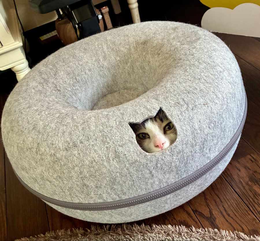 livedoornews's tweet photo. 【可愛い】「シッ！静かに……！助けに来た！！」 ベッドの小窓から顔を覗かせる猫
https://t.co/t3pOijhuSR

Xで飼い主が投稿したのは、小さな猫型窓からこちらをジッと見つめるそらじろーくんの写真。ふと何気なく横に視線をやったその時、ベッドの小窓から顔だけをピョコッと出していたそう。 https://t.co/WUht1ECmMw