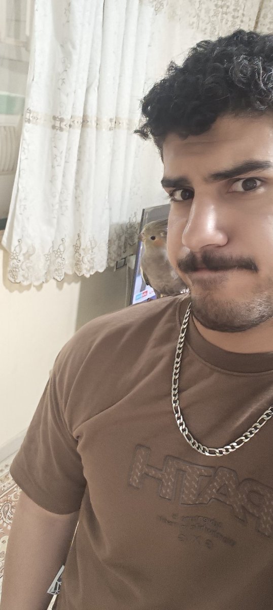 امیر بی دسلات tweet media