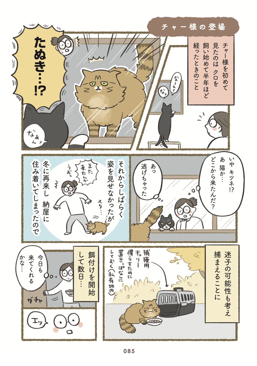 bana_wanko's tweet photo. チャー様がうちの子になったときのこと
（1/2） https://t.co/foX1pLRRE1
