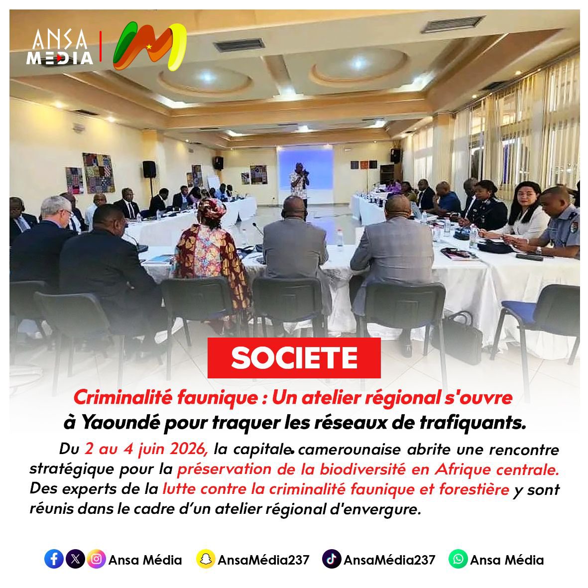 AnsaMedia237's tweet photo. Criminalité faunique : Un atelier régional s'ouvre à Yaoundé pour traquer les réseaux de trafiquants.

Lire la suite de l’article ici : https://t.co/eH6wLFbAnS

#Faune #Forets #LutteContreLeTrafic #Yaounde #AfriqueCentrale #AnsaMedia https://t.co/Ms2JQblkhZ