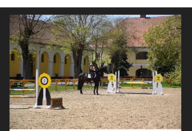 ERC3333's tweet photo. 6.3.26. The Nonius is a Hungarian breed named after its Anglo-Norman sire.

Generally dark in color, it is a muscular and heavy-boned breed, similar in type to other light draft &amp; driving horses.

Today the breed is used in agriculture, leisure riding, and jumping exhibitions. https://t.co/vkSvWI1j0U