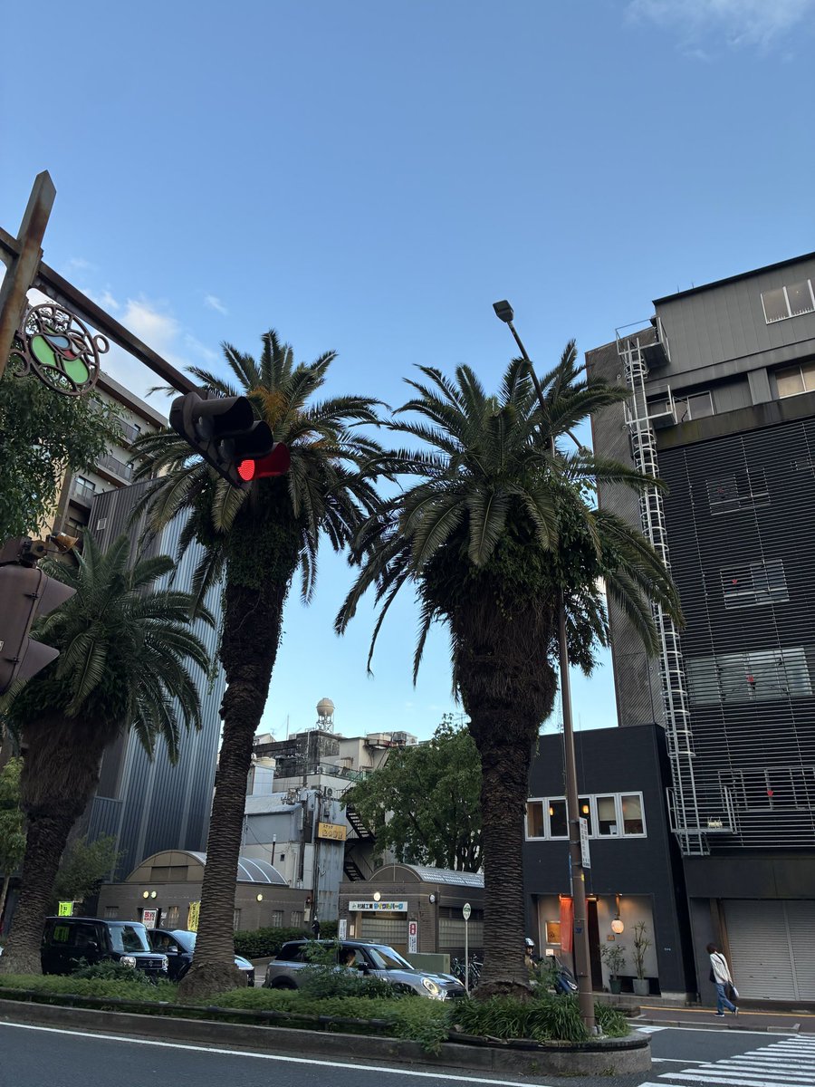 matz02's tweet photo. 初高知！

いきなり南国感♫

#高知 https://t.co/fk1hdDcz8p
