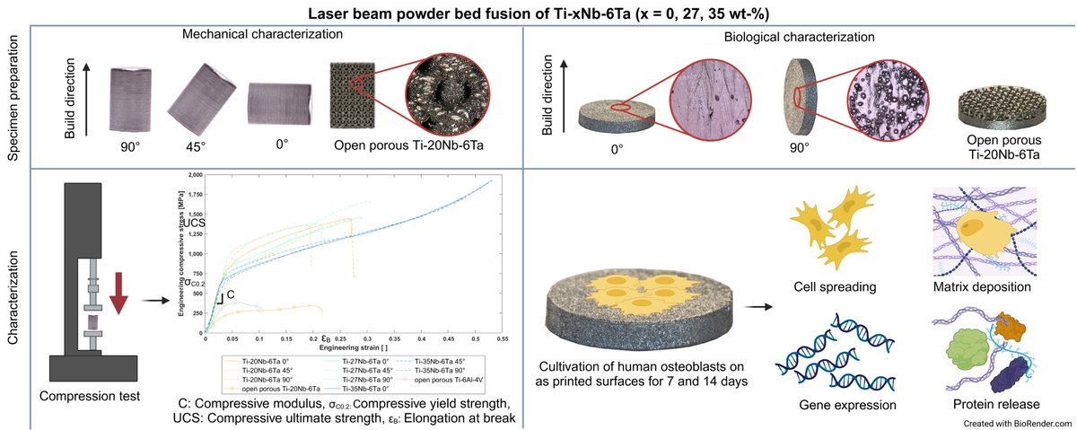 JFB_MDPI's tweet photo. 🔔 Read our Editor's Choice papers published "Advanced Ti–Nb–Ta Alloys for Bone Implants with Improved Functionality" by Jan-Oliver Sass et al.

🔗 𝐋𝐢𝐧𝐤: https://t.co/YUHOML5uyU
#AdditiveManufacturing #Biomaterials #OrthopedicImplants #TitaniumAlloys #BiomedicalEngineering https://t.co/9SHHQQrz4w