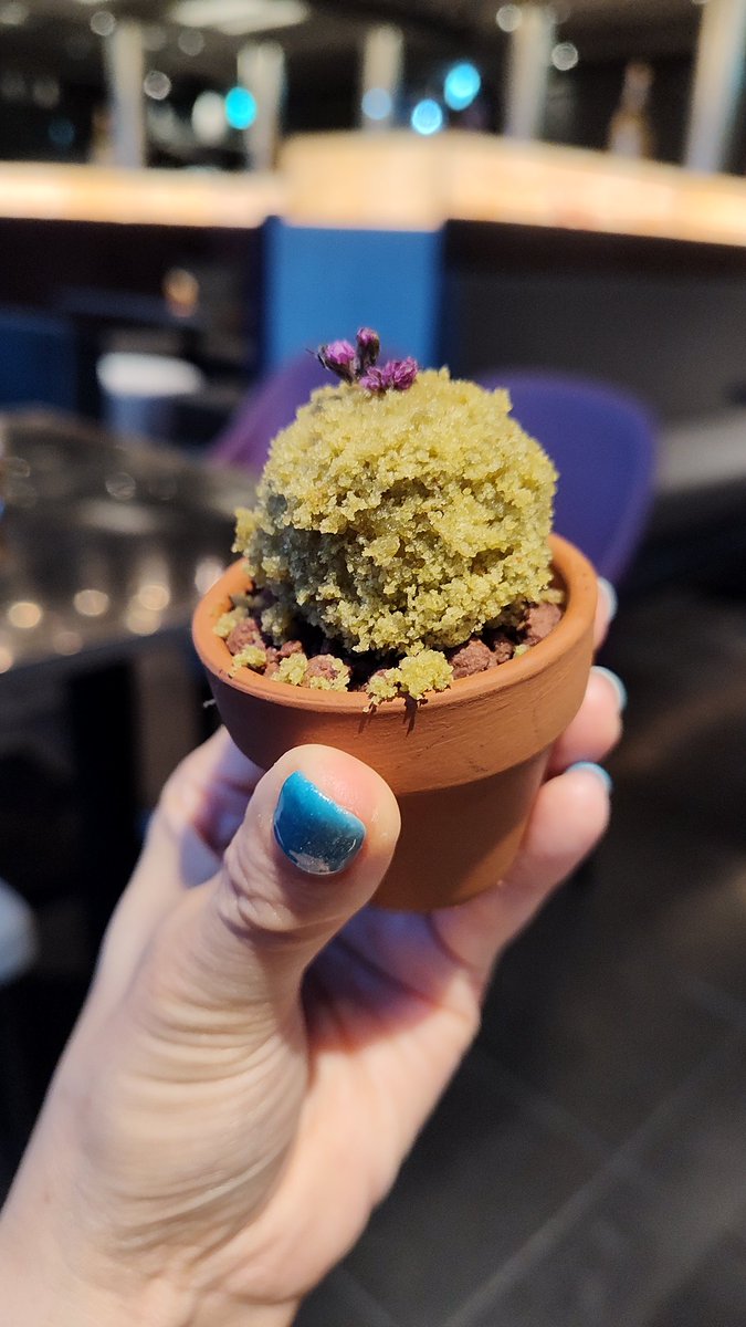 ryorca's tweet photo. 銀座でイブニングハイティーでした☕
セイボリーが多いものが好きです🥪
苔玉はティラミスでした🍴 https://t.co/vV1trSLblX