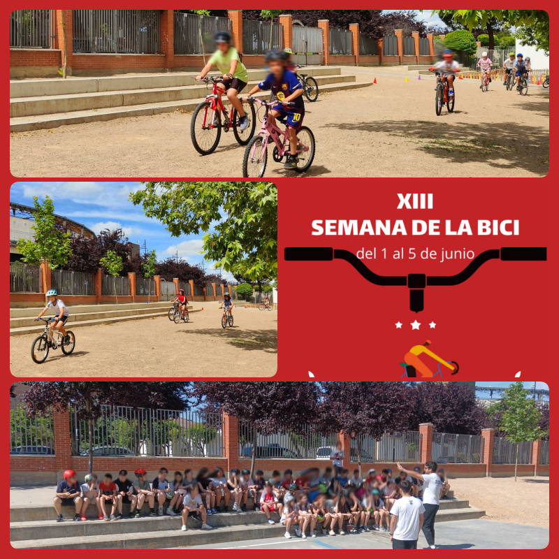 ColeNSVillar's tweet photo. XIII #SemanaDeLaBici 🚲
Sesiones de #Duatlón 🏃🚴♀️ para 3º, 4º, 5º y 6º #EducaciónPrimaria organizadas por @TriLaguna 😍
Educando en hábitos de #vidaactivaysaludable
Muchas gracias! 👏
#HábitosSaludables #Navactívate #edufis #SelloVidaSaludable #PIEEscuelasSaludables #PIERES https://t.co/DVuqtE0VIa
