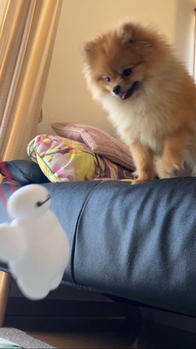 ベイマックス