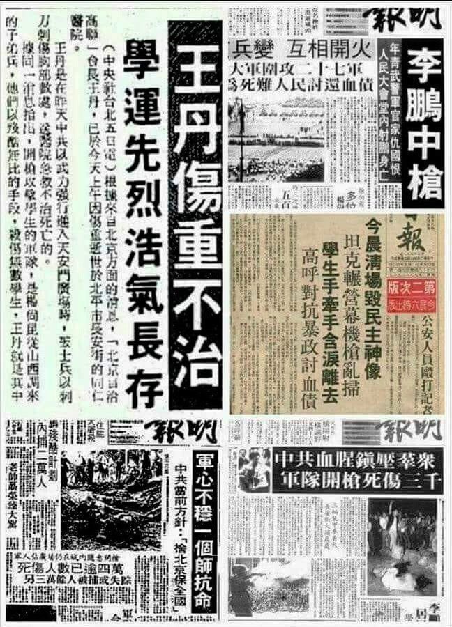 杨凡❤ tweet media