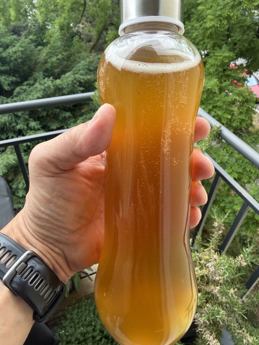 NovakVita's tweet photo. Magu skoro za dvě stovky, domácí za sedm korun. 🙂👌

Další várka je hotová. 👍🥂😃 https://t.co/KWUapSjjsh
