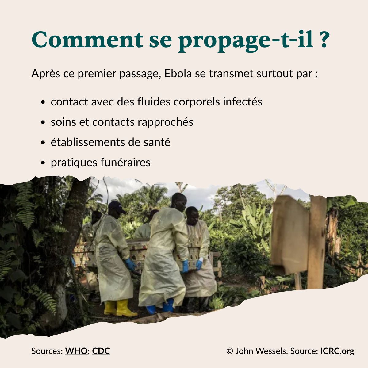 RestoreidEU's tweet photo. 2/2 Notre nouveau carrousel explore l’épidémie actuelle d’Ebola due au virus Bundibugyo : ce que nous savons, ce que nous ignorons encore, et pourquoi comprendre les contextes environnementaux et sociaux est essentiel pour prévenir les futures épidémies.

#Ebola #SantéMondiale https://t.co/ZfMagpgjNM