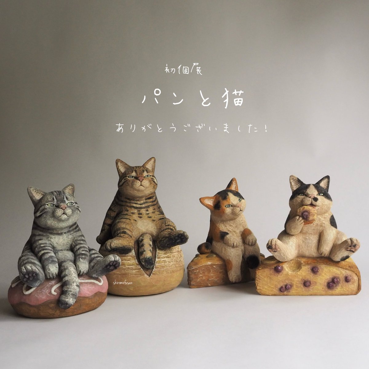 白もふ (@shiro_mofusan) / Posts / X