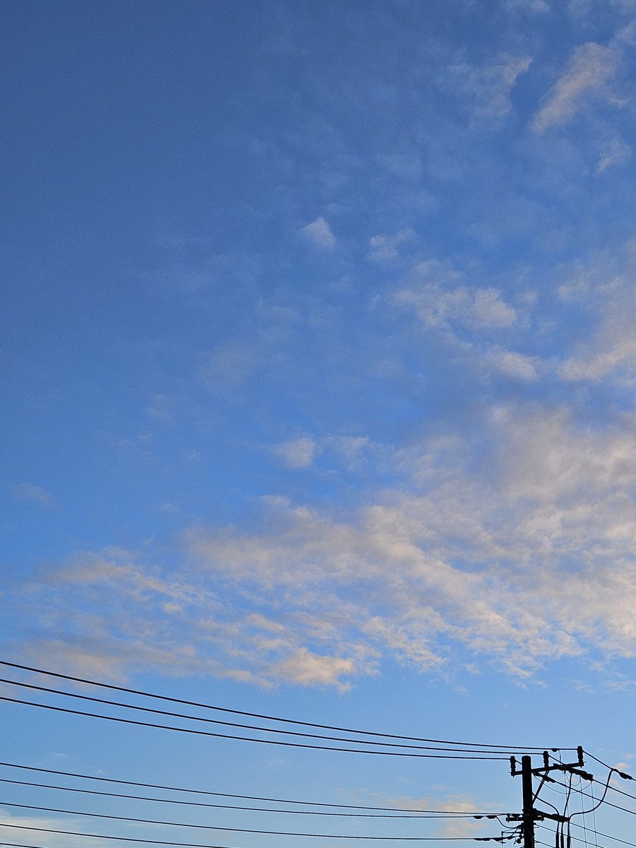 Morokuma24's tweet photo. 台風のあとの空
好き https://t.co/UNTD9LTrNs