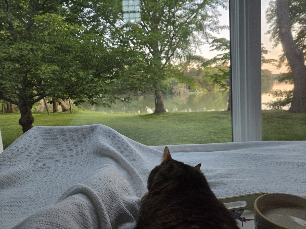 ConsWahoo's tweet photo. Morning coffee https://t.co/KAtCZTz6b9