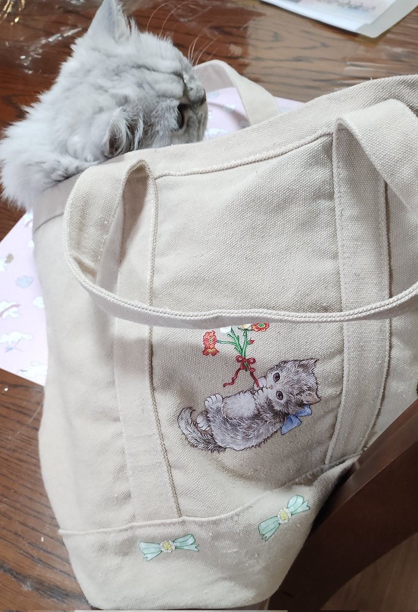 nyanbashira0219's tweet photo. 阻止しようとしたけど負けた(ΦωΦ)ฅﾊｲﾘﾀｶｯﾀﾆｬﾝ✨️
このバッグ、ねこちゃんがすんんんごくかわよいのですよ💕
#ミヌエット 
#yukiemon
#ねこのいるくらし 
#猫がいる幸せ https://t.co/m3DICdTm8s