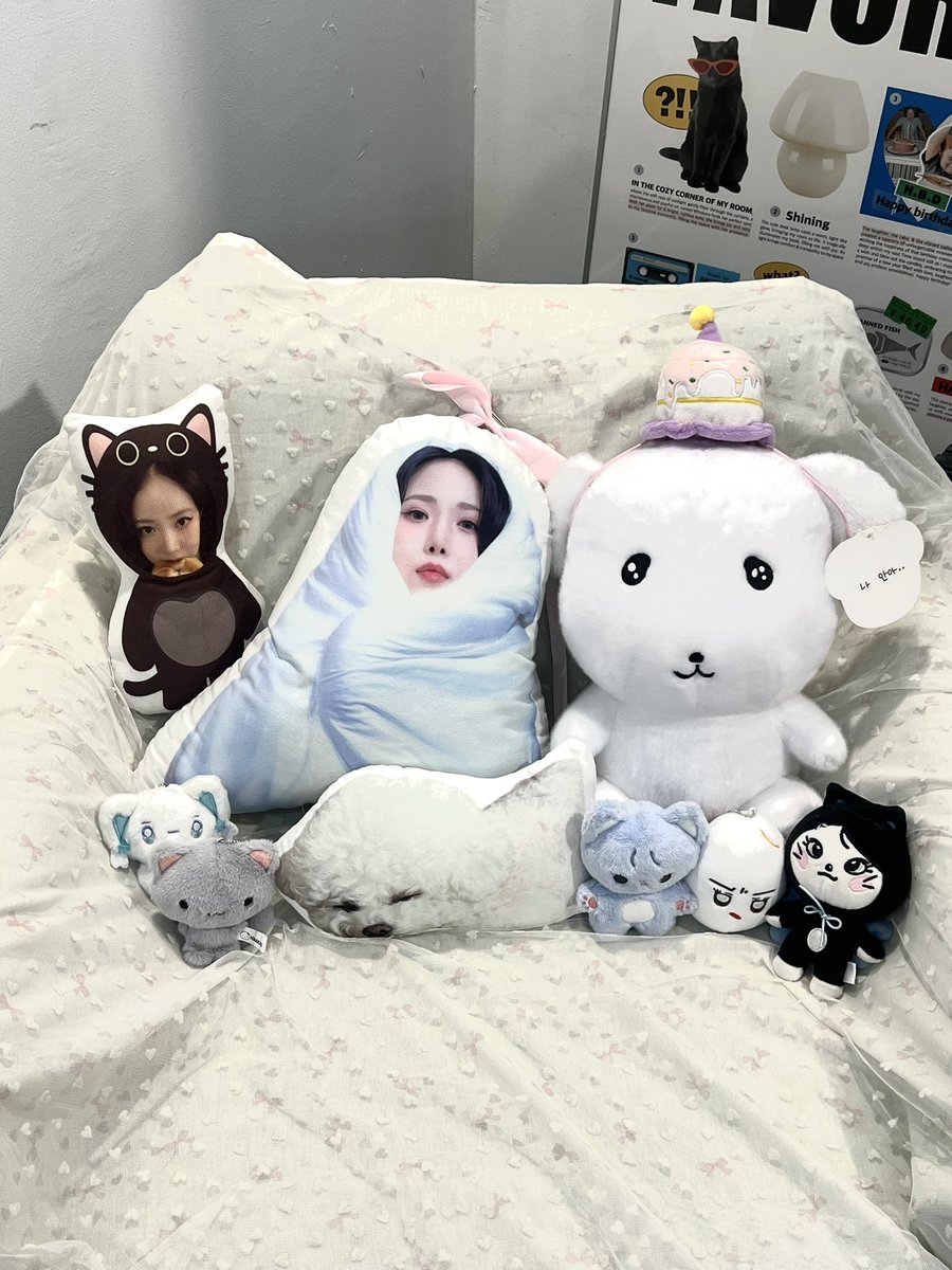 d7ck603's tweet photo. ♡       ߍ🎀ߍ       ♡
    ♡  ( ⌯′-′⌯)  ♡
┏━━ U U━━┓
♡바보고양이생축♡
┗━━━━━━┛

#SINB_HUG_CLUB #우리은비안아주러옴 https://t.co/5OpjTebbwA