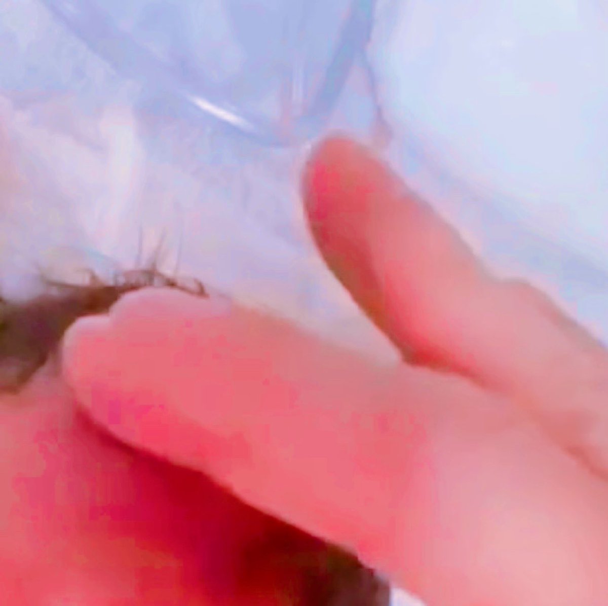 sen_0203's tweet photo. 兄の奥さん今日子どもちゃん爆誕したみたい‼︎めでたいぃい‼︎‼︎🎊🎂
↓兄が頭を撫でてます🥳 https://t.co/YRTbFpR6ln
