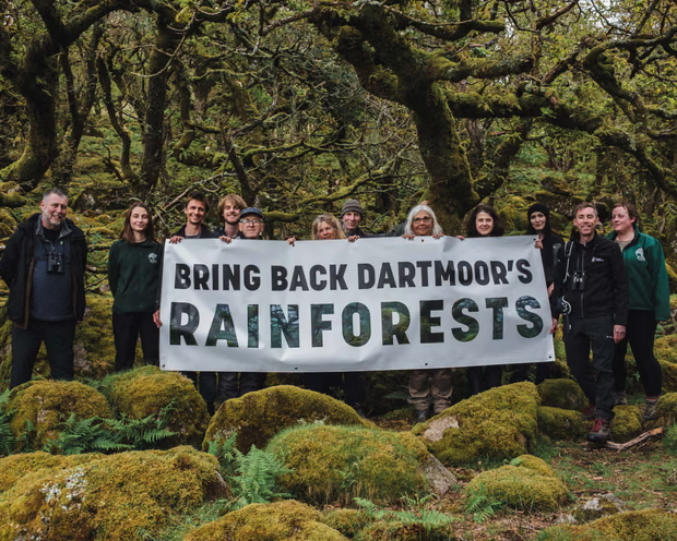 CitizenZoo's tweet photo. “Our ambition is to double the extent of duchy-managed Atlantic rainforest on Dartmoor by the early 2040s, and we welcome the focus this campaign brings to these rare, beautiful and important habitats.” #rewilding #conservationoptimism
https://t.co/F3m7rQDojo https://t.co/m4d7RfkyfD