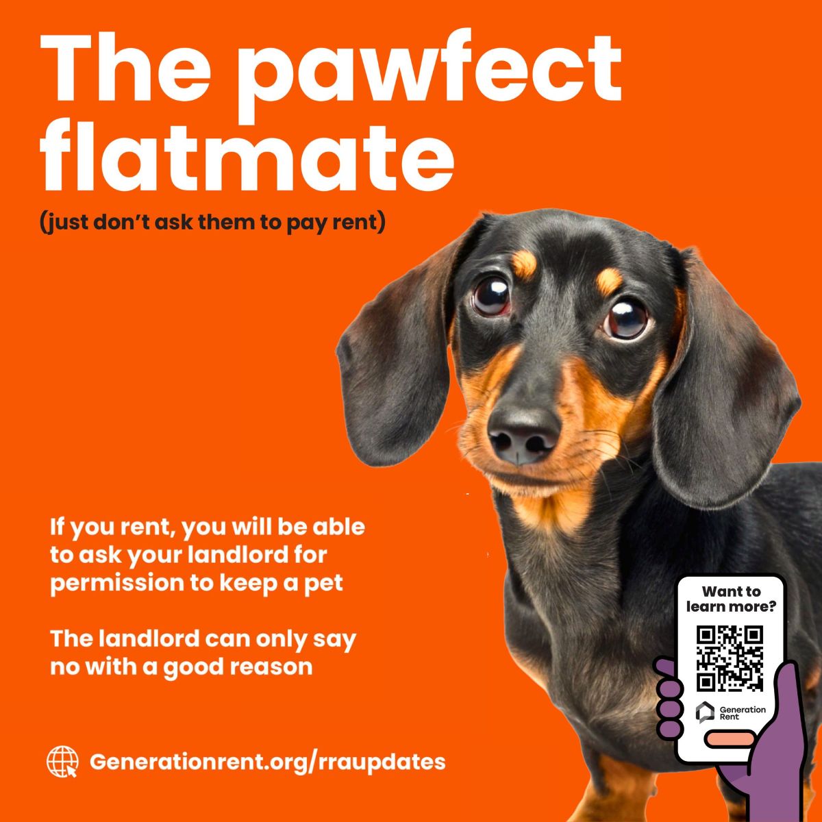 LBofHounslow's tweet photo. Meet the pawfect flatmate… just don’t ask them to pay rent! 🐾

Under the Renters’ Rights Act, private renters can now ask their landlord for permission to keep a pet. Landlords can only refuse if they have a good reason.

More info: https://t.co/WOyuzZVarT 

#RentersRightsAct https://t.co/gx43bctCbf