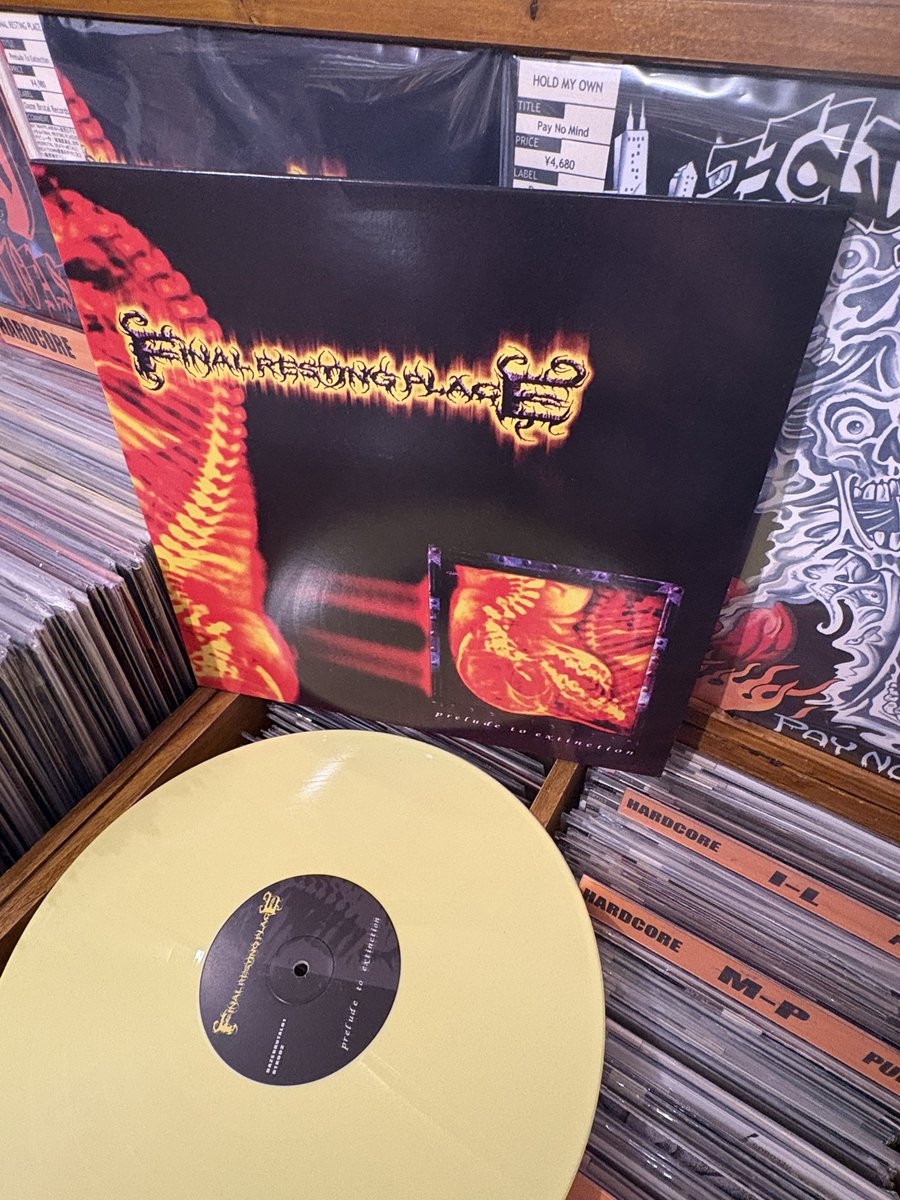 NY/MARYLANDから超絶BRUTAL SHIT 