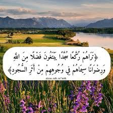 ربح tweet media