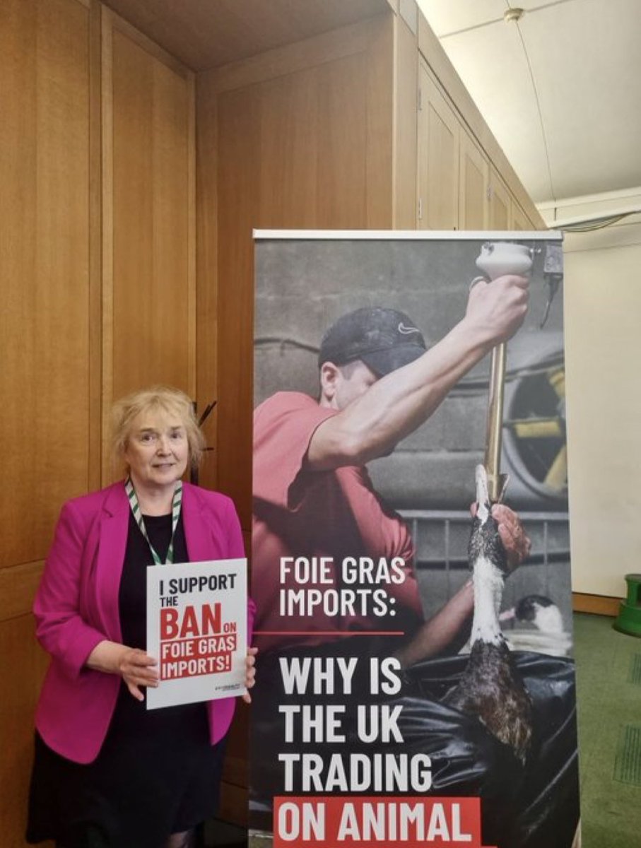ConservativeAWF's tweet photo. Last night we joined the parliamentary roundtable hosted by @lucydahlia and @animal_equality to discuss the government’s promise to ban foie gras imports. Good to hear the trade experts, scientists, legal specialists, advocates and NGOs whose insights reinforced the case for ending this cruel trade. Ban foie gras imports