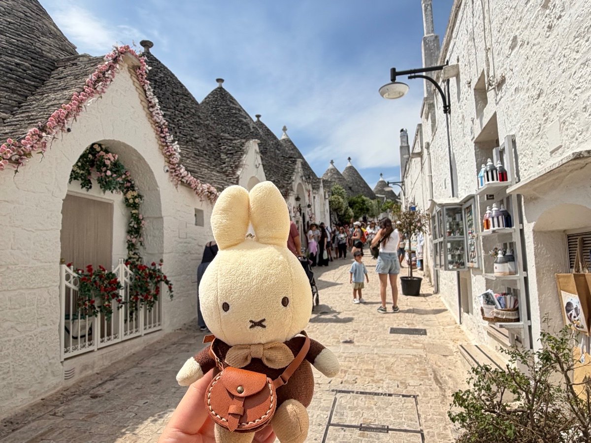 chill_nui's tweet photo. Ciao!!旅日和です🐰 https://t.co/KO8BEgmd2x