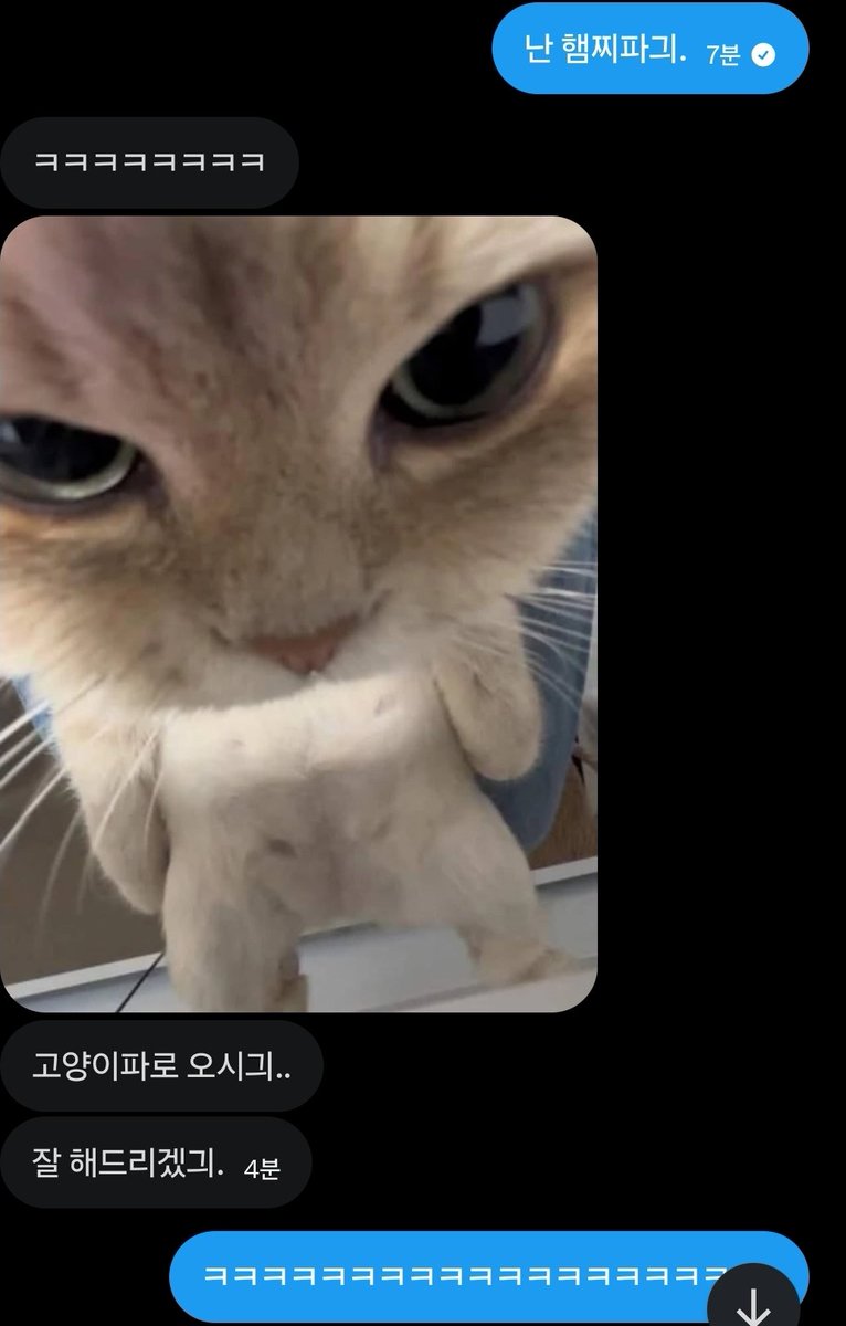 골댕이 누리🐶 (닉변중) tweet media