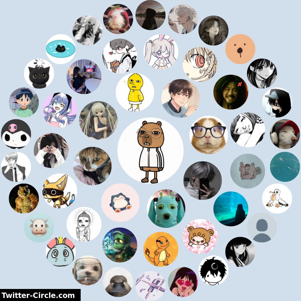 김캇피 tweet media