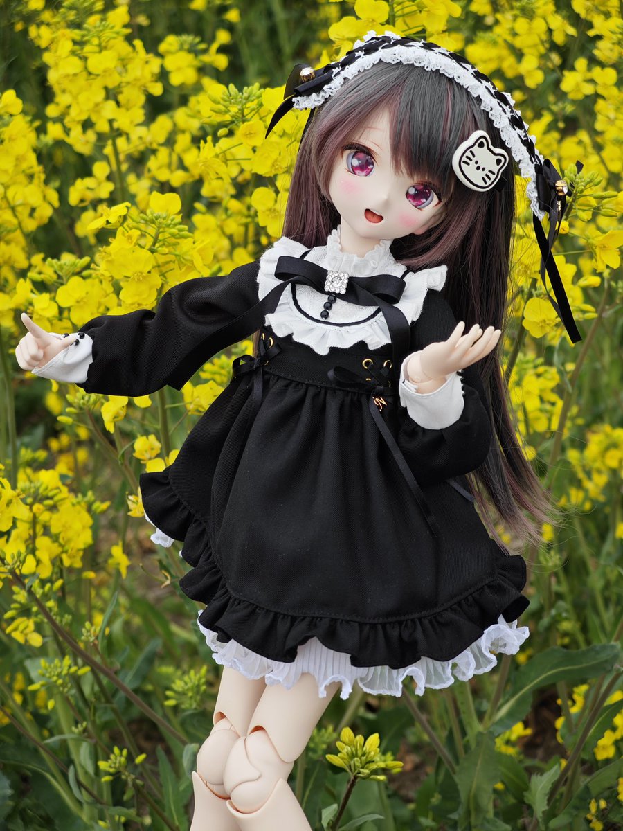 いちごねこ (@ichigonekodoll) / Posts / X