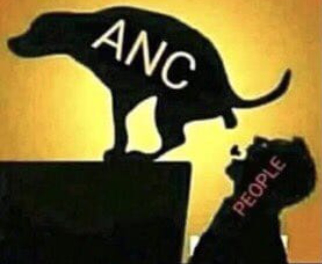 anciscorrupt's tweet photo. @MYANC Are you lot fucking retarded? Okay, nevermind as I typed that I realised it's the dumbest question ever!!! Tsek poes!!! https://t.co/Zee4vlBRW3