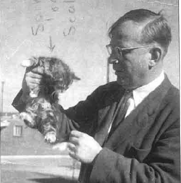 phalpern's tweet photo. Scientists with their cats:*

Edwin Hubble

Rachel Carson

George Gamow

Joy Adamson  

*Schrödinger had a collie, not a cat! https://t.co/lgDkG0hU0U