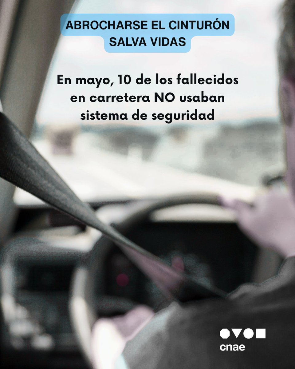 InfoCnae's tweet photo. 🚨En mayo, 10 de los fallecidos en carretera NO usaban sistema de seguridad:

7 conductores de coche (sin cinturón)
1 de furgoneta (sin cinturón)
1 de camión (sin cinturón)
1 motorista (sin casco)

El cinturón y el casco salvan vidas. No te la juegues. https://t.co/PL2VR6iwJ3