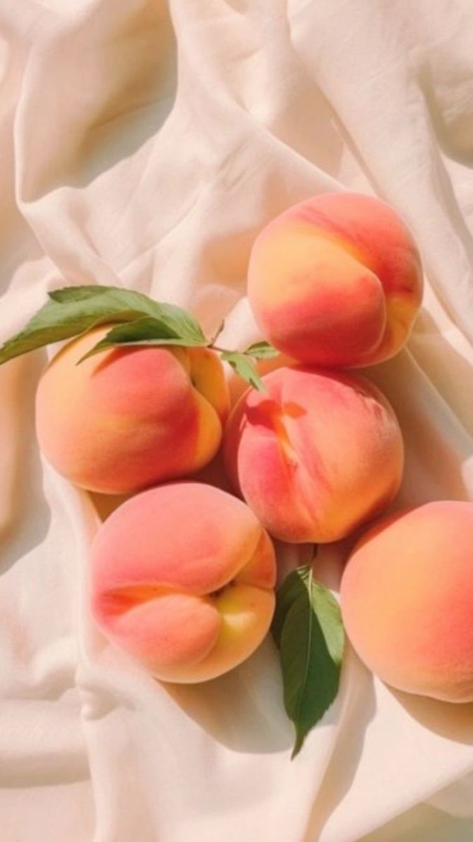 resone__'s tweet photo. 노릇하게 잘 익은 복숭아 네일🍑🩷

따뜻한 웜한 핑크에 골드 펄이 반짝거리는
자석 베이스에 심심하지 않게 리본 파츠 올려주고 
포인트로 치크+하트 체인 올려주면??

안 예쁠수도 없고 젤리 같은 느낌이 너무 예쁘고 귀여워서
볼 때마다 기분 좋아지는 게 이래서 네일 하나봐요💗 ୨୧∗˚ https://t.co/79bcYEuDO2