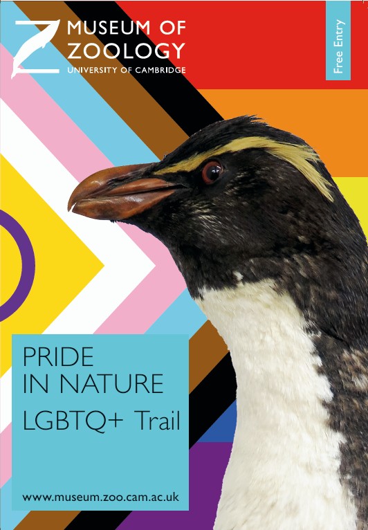ZoologyMuseum's tweet photo. This #PrideMonth take a look around the Museum with our Pride In Nature trail. It's about how queer perspectives help us to understand the natural world &amp; how 'science' has actively hidden same-sex behaviour in animals. Trail &amp; entry FREE #PrideUK #Pride2026 @camunivmuseums https://t.co/gIfTZaYfdN