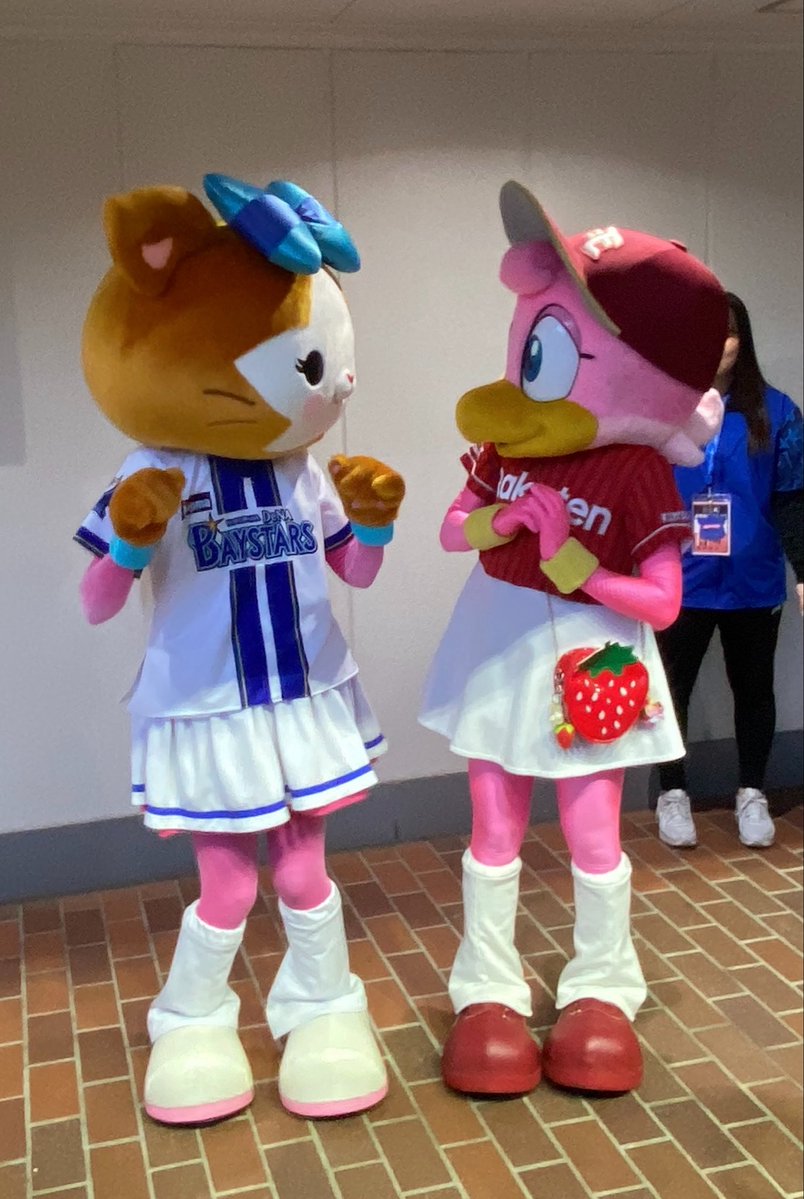 Stakira2014's tweet photo. キララ&amp;クラッチーナの女子マス共演💕
#baystars #RakutenEagles
#キララ #クラッチーナ https://t.co/UGofGsdbDO