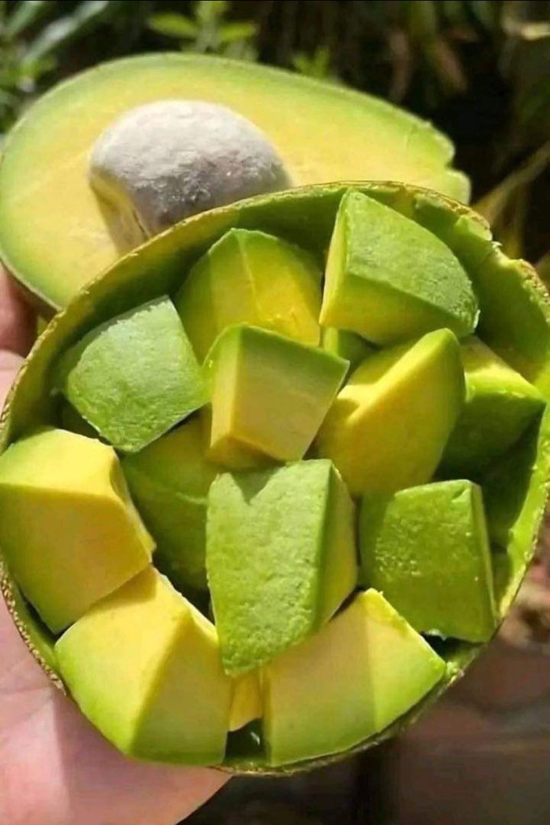 Mobyle001's tweet photo. Am I the only one that dislikes avocado?? https://t.co/RhF0waAD3G