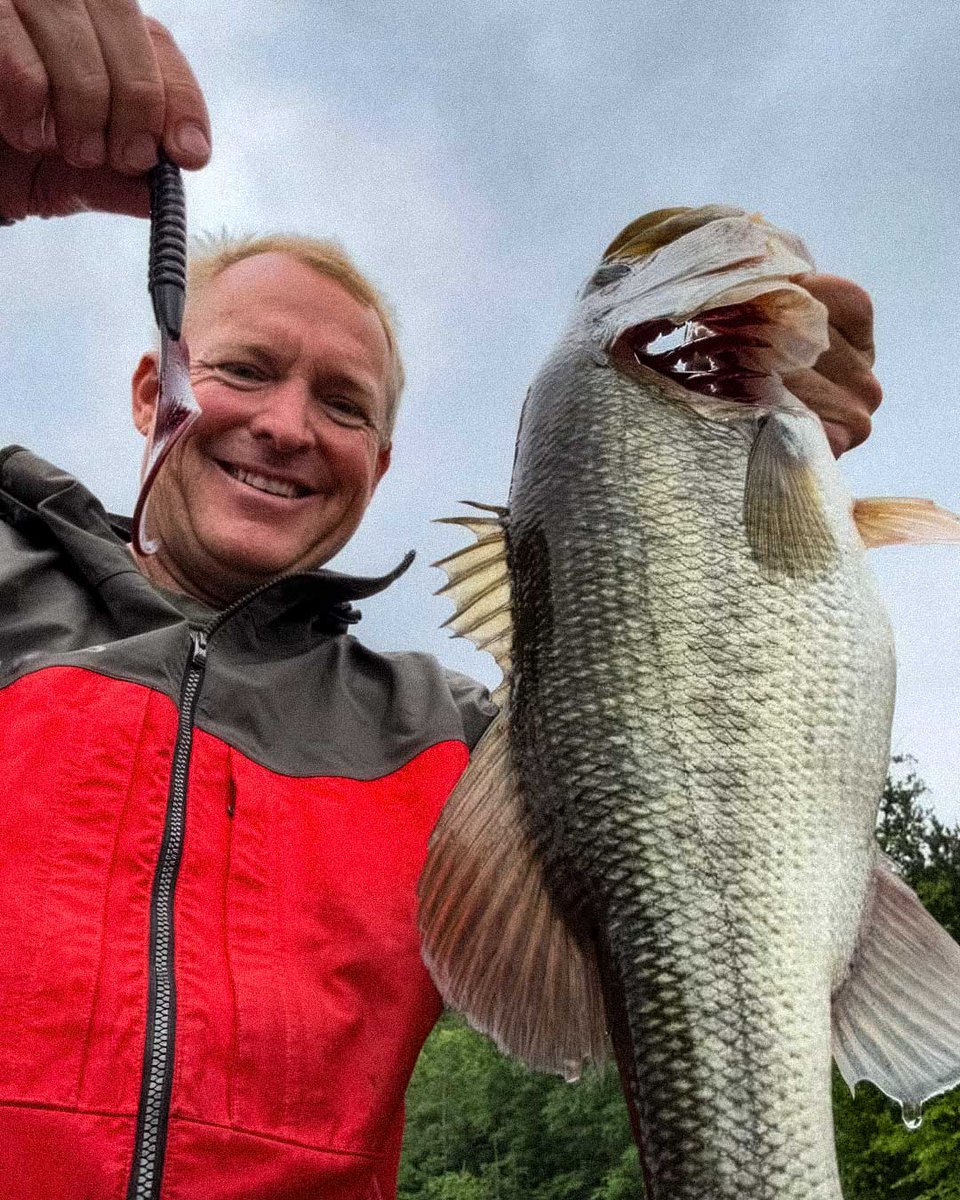 CulpritFishing's tweet photo. @dustinwilksfishing Back at it! 7" Culprit fat max flipped in a log!
#culprit #fatmax https://t.co/k1s4YijHZK