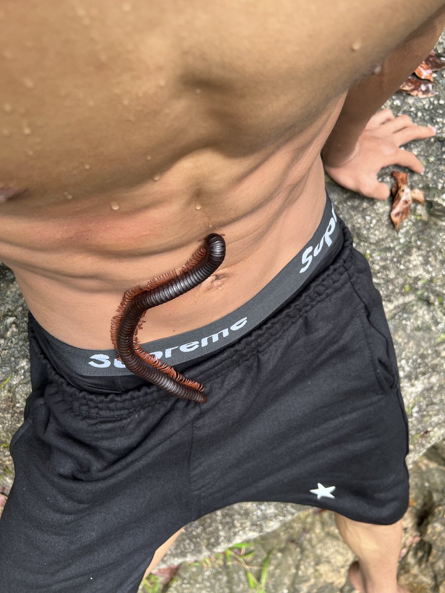 lqmhkmz's tweet photo. ulat gonggok pun tak tahan nak lick abs👅 https://t.co/6BC3IRo6gr