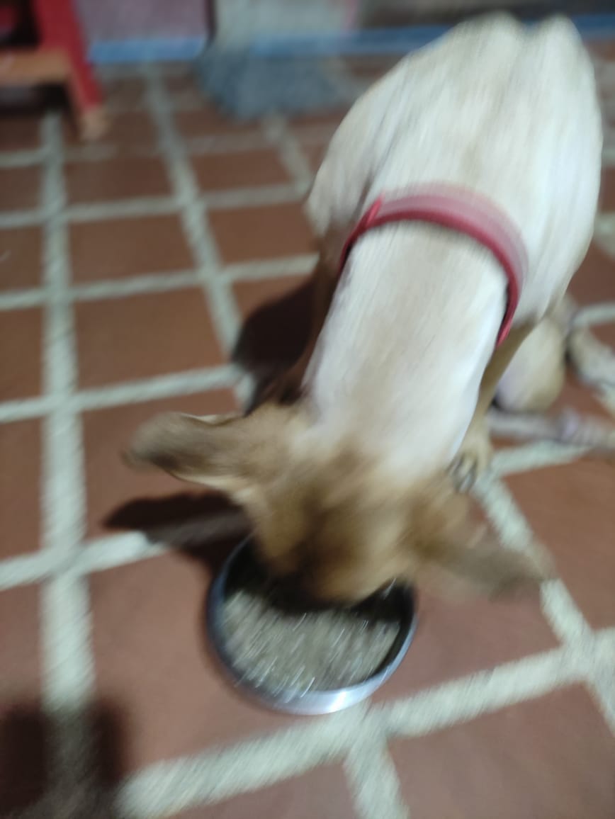 FRAENKELE's tweet photo. Reporte de la cena de RUPERTO de ayer martes 02 de junio cortesía de Ronalys Rodríguez @RonalyDiaz https://t.co/gkGbBfe3KW