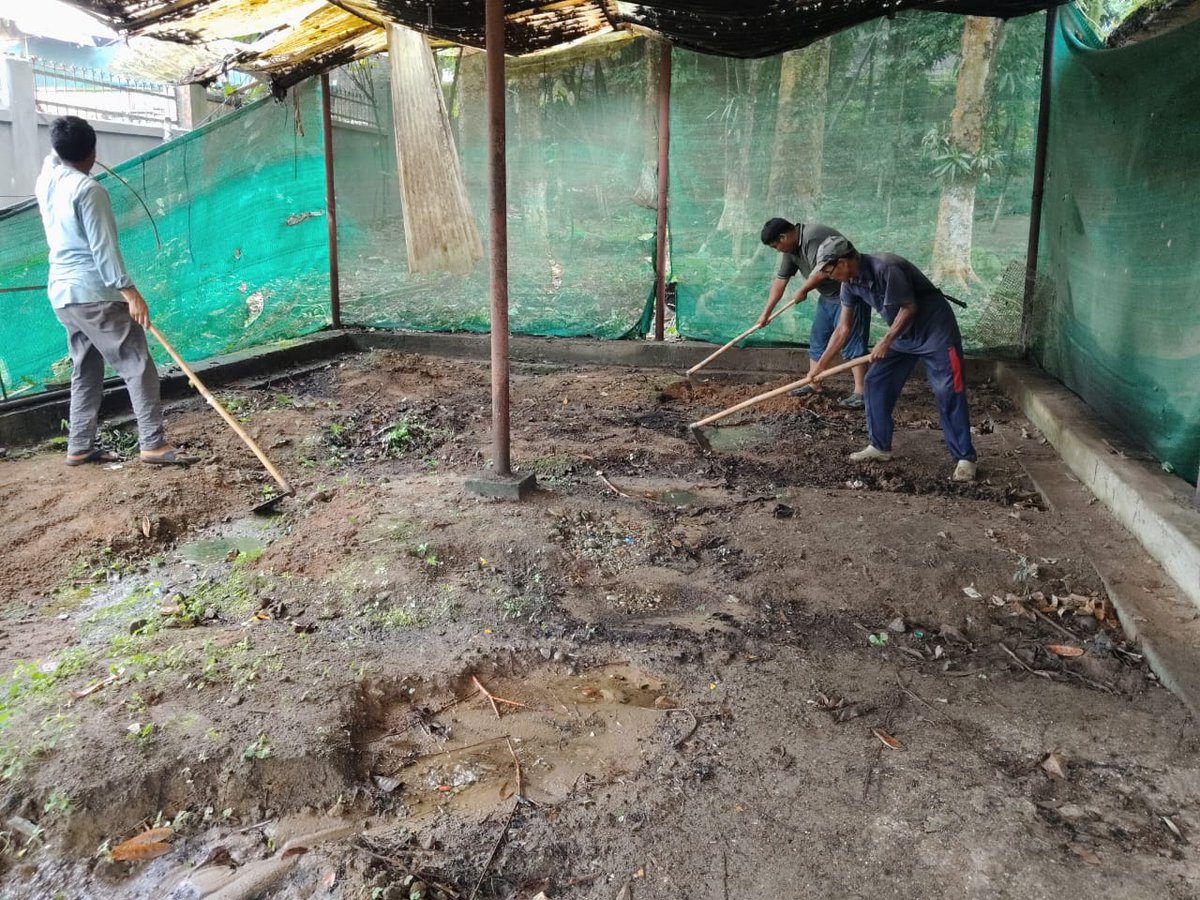 BSI_APRC's tweet photo. A cleanliness drive was conducted on 3rd June 2026 under Swachhta Pakhwada 2026 at the office premises (Green house) of BSI, APRC, Itanagar. Head of Office, staff members and daily workers were actively participated in this event. https://t.co/Br1yudPTh3