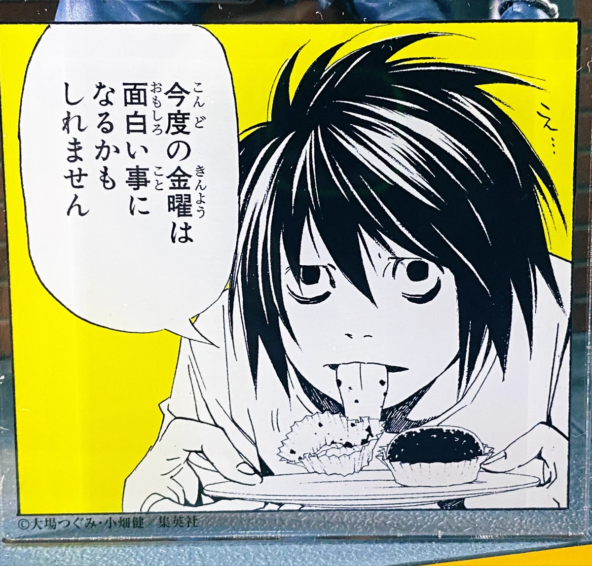 活動歴および当時の関連ビジュアル記録