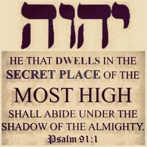 SteveMHII's tweet photo. #GM #YahBless https://t.co/6FO8nO8Hlf