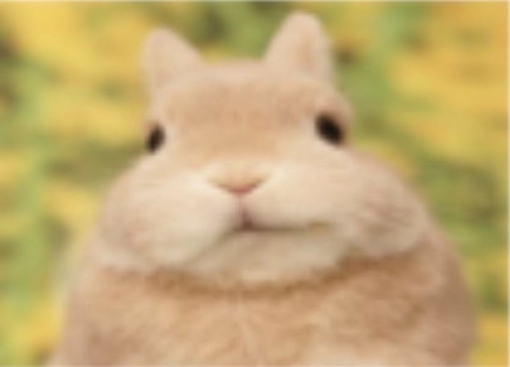 𝑝𝑠𝑦𝑐ℎ𝑜𝑠𝑖𝑠 tweet media