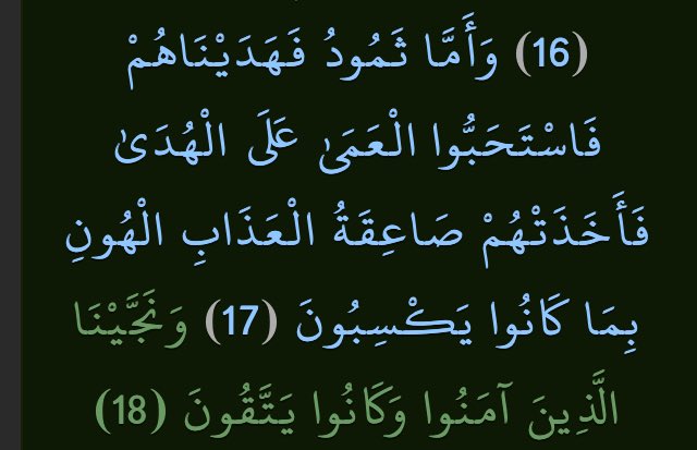 ربح tweet media