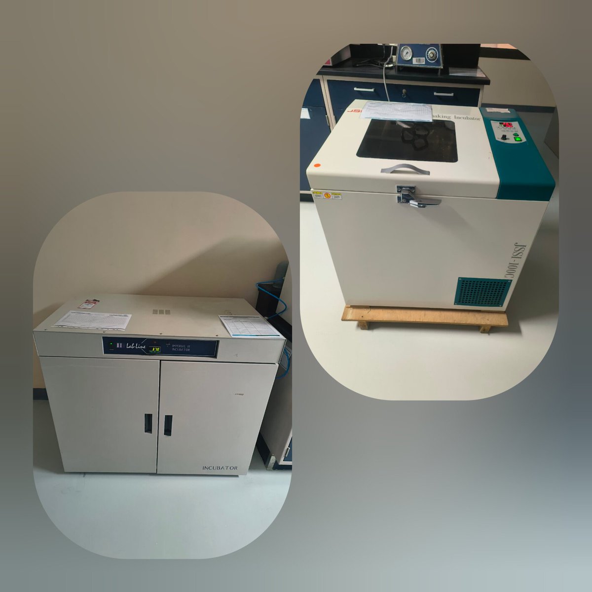 MicrobioGirl's tweet photo. كيف تطاوعك نفسك تترك كائناتك في ال incubator وتروح بيتكم، وما تجلس تراقب الوضع، ممكن يحتاجو شيء ولا شيء https://t.co/9JZMMi7A3N